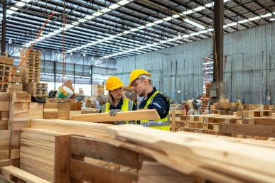 Solución de archivado de sistemas SAP respaldada por experiencia