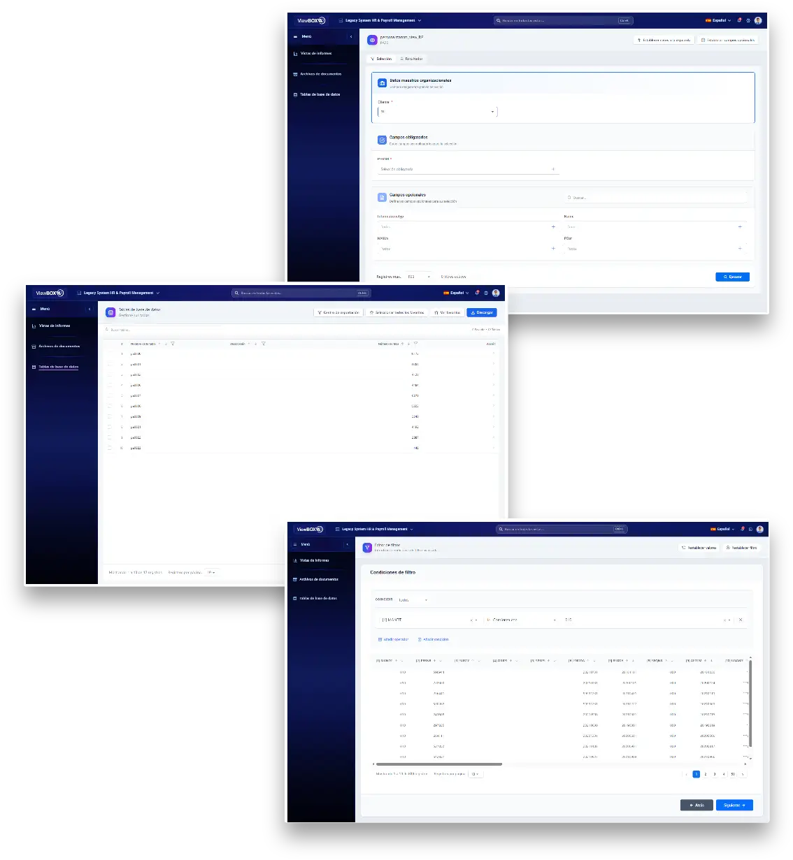 Búsqueda y filtros de ViewBox aplicados a grandes volúmenes de datos heredados