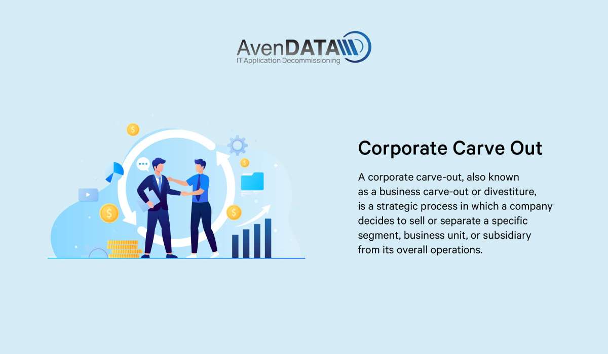 Corporate Carve-out Definition