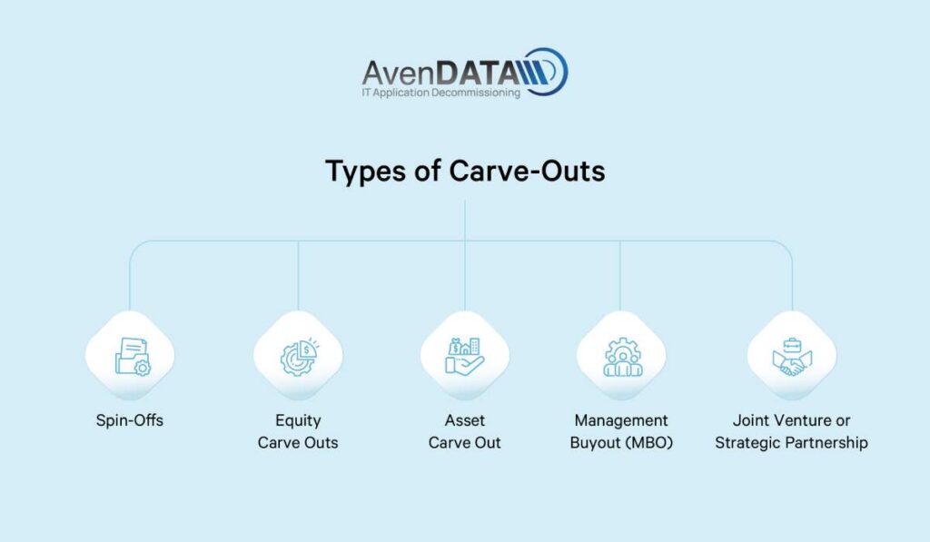 CarveOut The Complete Guide 2024